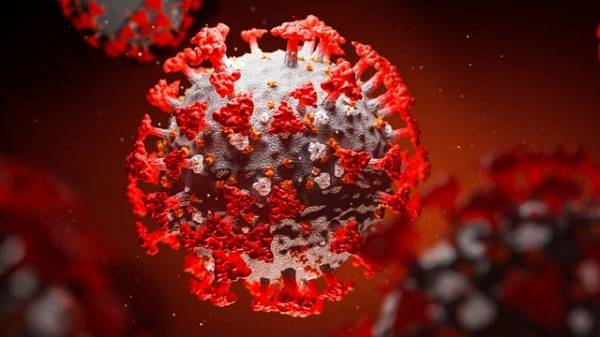 В Италии новая версия мутировавшего в Великобритании коронавируса