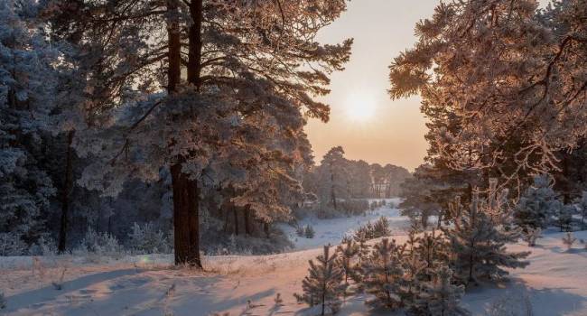 «Где-то дожди, а кому-то повезёт со снегом»: синоптики рассказали о погоде на Рождество и Новый год
