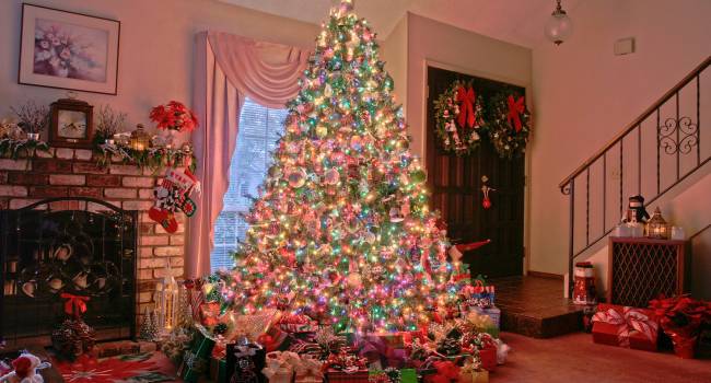 «Новый год на носу»: В Гослесагентстве озвучили стоимость новогодней елки 