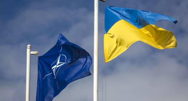 Число желающих снизилось на рекордные 11%: социологи представили результаты нового опроса о вступлении Украины в НАТО 