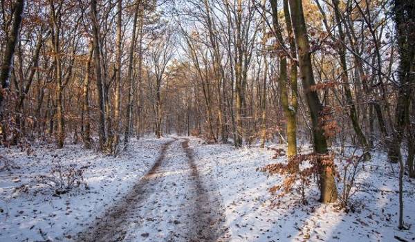  ���� ����� ������� �������� ������� ����� ��������� ������ 