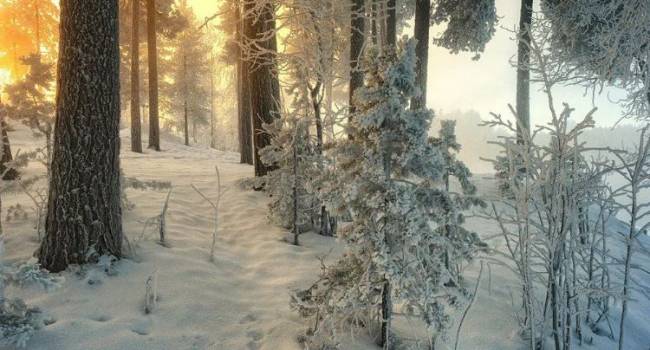  ������������� ������ ����� ��� �������� �������� ����������� ��������� 