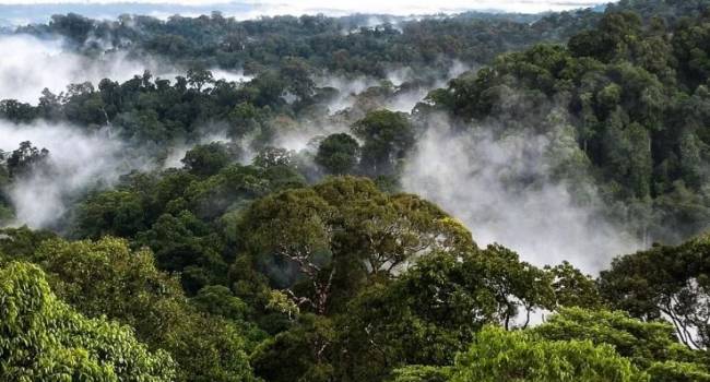  ���������� ������ ������� ������ ����� �������� 