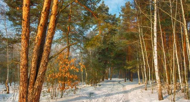  ������ ���� �������� ��������� ������ ������ ��� ������ 