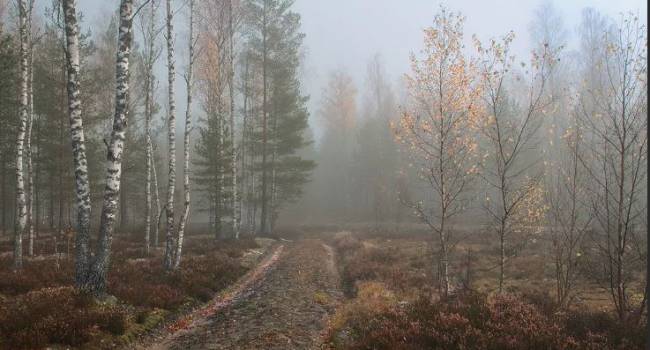  ������ ���������� �������� ���������� ������ ��������� ��� 