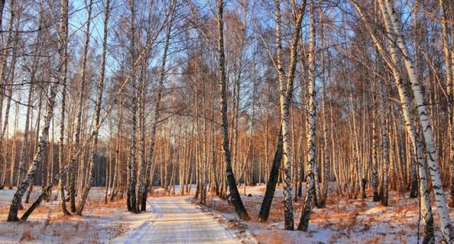 ����: replyua.net