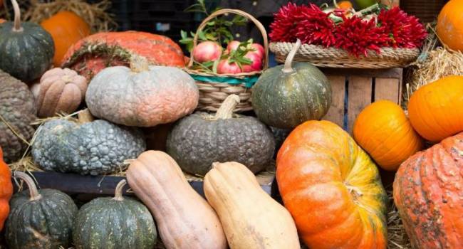  ����� ��������������� ������� ��������� ����������� ����� 