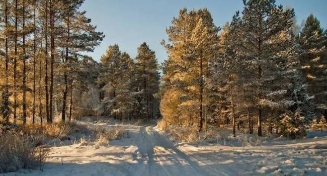  ��������� �������� ������ ������ ����������� �������� �������� ��������� 