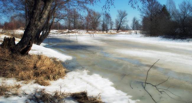  �������� ������ �������� ���������� ������ ������� 