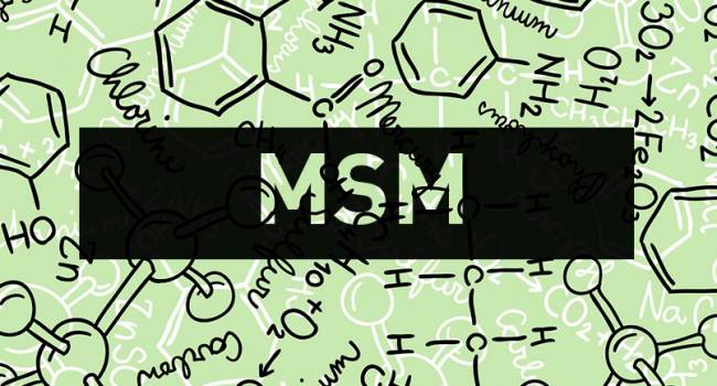  ������������������� �������� �������� ���������� ���������������� 