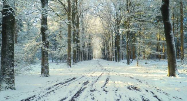  ������ ������� �������� �������� ��������� ��������� �������� �������� 