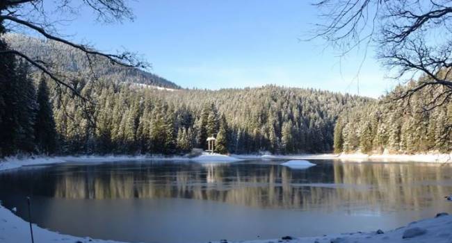  �������� ����� ������� ��������� �������� ���� 