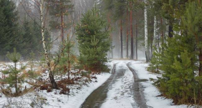  ��������� �������� ���� ������� ������� 