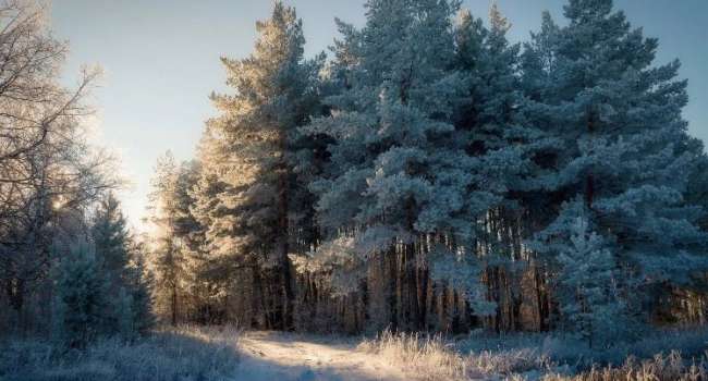  ���������� ������ �������� ������������ ����� �������� ���� ��������� 