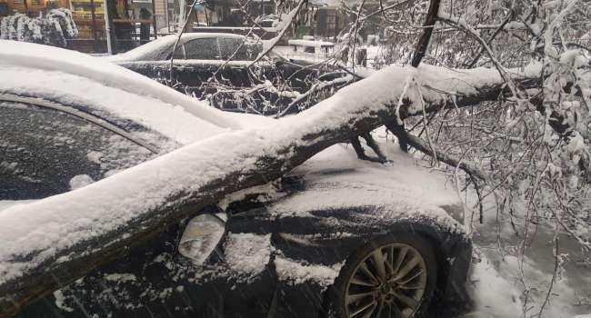 «Людей призывали не выходить на улицы»: Одессу «парализовала» непогода