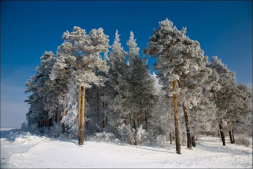 Холодно в мае фото