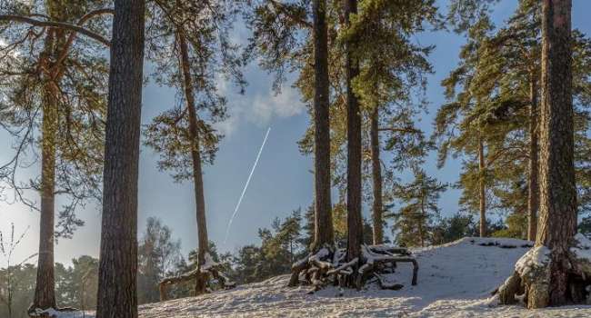  ������� -15 ������� ��������� ���������� ��������� ������ ������� 