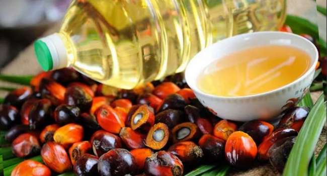  ��������� ����� �������� ��������� ������ ��������� ����� 