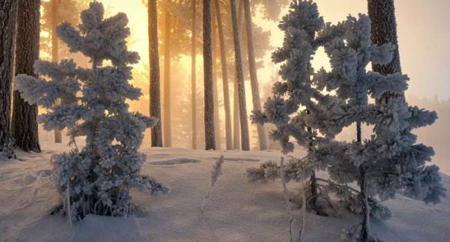  �������� ������� ������� ��������� ���������� ������� ������ ��������� 