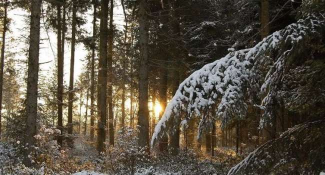  ���������� �������� �������� ��������� ��������� ��� 