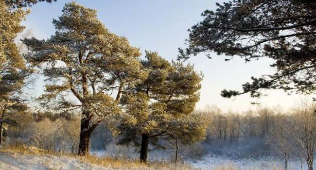 Настоящая зима продлится до выходных: синоптики рассказали о погоде на этой неделе