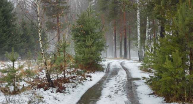 Плюсовые температуры, но далеко не весна: синоптики рассказали о потеплении в Украине