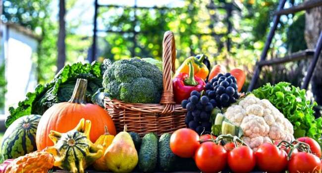 «Формула пять»: учёные рассказали, сколько на самом деле фруктов и овощей нужно употреблять ежедневно 
