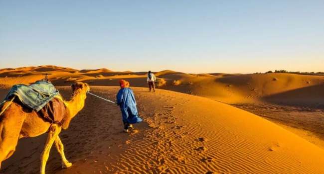 Это будет повторяться снова и снова: учёные назвали причины изменения климата в пустыне Сахара 