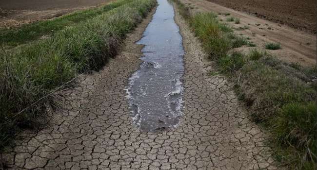 Самая масштабная засуха и сильнейшая жара: экологи предупредили о климатической катастрофе в Украине в этом году