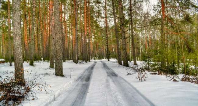 «Хуже, чем зимой»: в Гидрометцентре предупредили о гололедице и снеге в ближайшие дни 