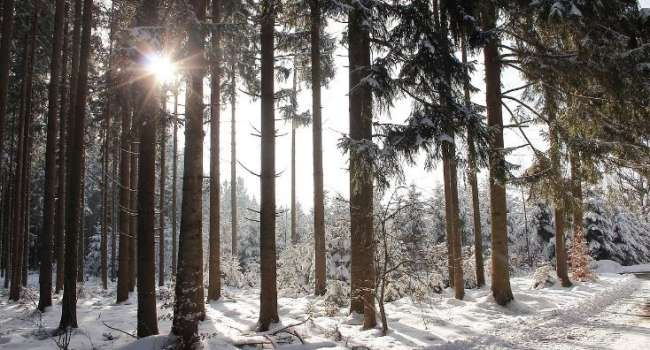  �������� ������ ���� ��������� ���������� ������� �������� �������� 