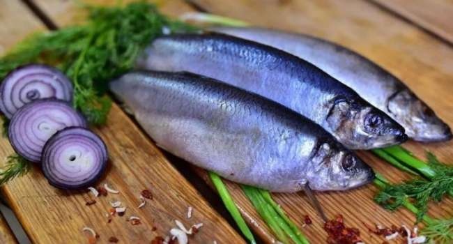 Вкусно, недорого и полезно: диетолог рассказала о важном продукте в рационе Вкусно, недорого и полезно: диетолог рассказала о важном продукте в рационе