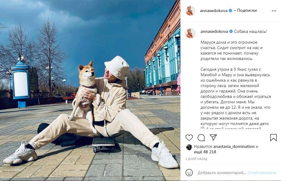 «На меня кричали матом, обзывали, критиковали, что я не так скорблю»: Анна Седокова сообщила, что потеряла собаку 