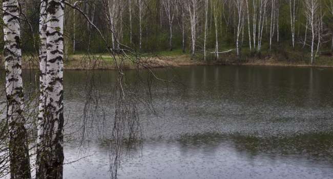 Погода на выходные: 3 и 4 апреля Украину будет заливать дождями
