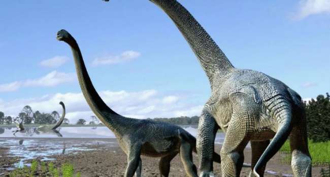 На территории Шотландии обнаружены десятки следов динозавров