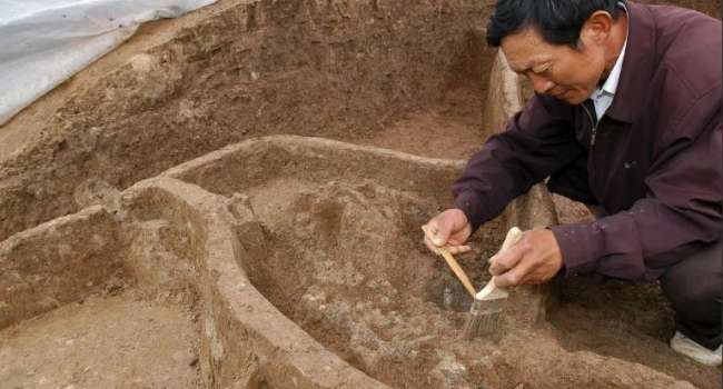 Учёные из Китая обнаружили окаменелости животных возрастом 120 миллионов лет 