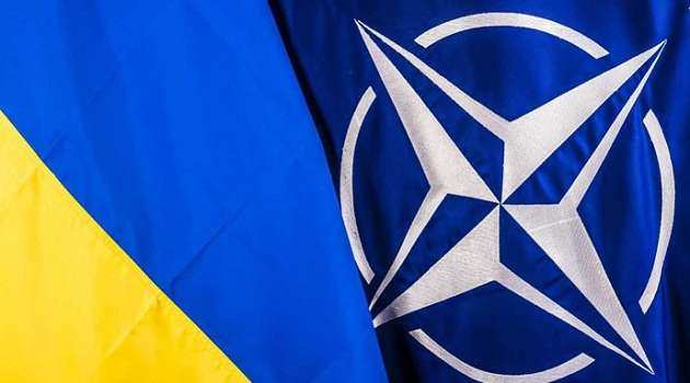 Глава Минобороны: Украина в этом году рассчитывает получить ПДЧ в НАТО 