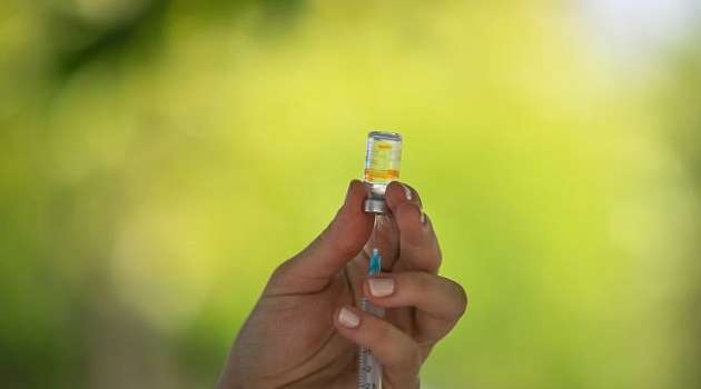 На этой неделе Степанов ожидает первую поставку вакцины Pfizer
