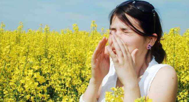 Врачи назвали лучшие натуральные средства для борьбы с сезонной аллергией