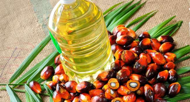 Диетолог: регулярное употребление пальмового масла провоцирует развитие онкологии
