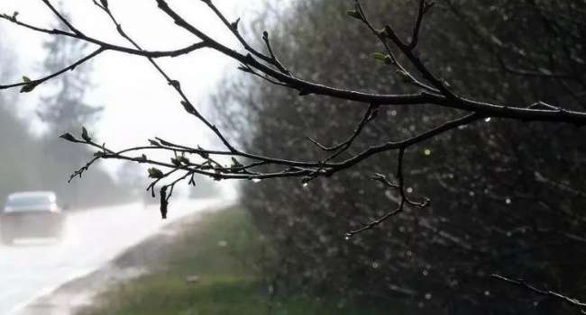 Дожди усилятся до ливней: синоптики рассказали о погоде на этой неделе