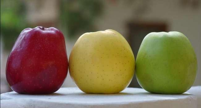 Диетолог: яблоки защищают от развития онкологии