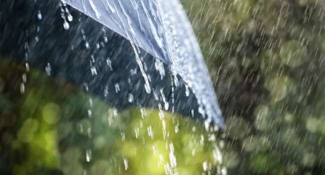 Дождливо и прохладно: синоптик предупредила о непростой погоде в мае
