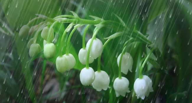 «Дожди с грозами и очень тепло»: синоптик рассказала о погоде в последний апрельский день 
