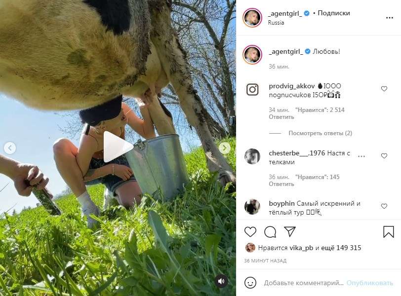 «Как мы поняли, Элджея руками не радуют»: Настя Ивлеева сняла на видео, как доит корову 