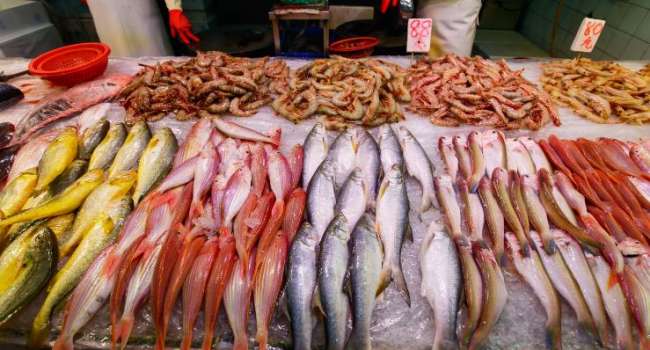 «Продукт не для ежедневного употребления»: медики объяснили, почему нельзя увлекаться рыбой 