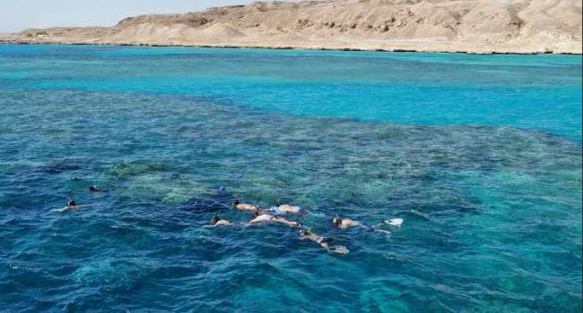 Эксперты объяснили, почему туристам нельзя купаться по ночам в Красном море
