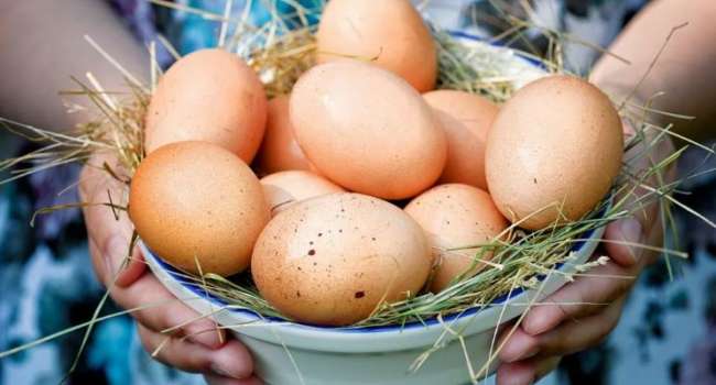 «Бывает непереносимость»: медики рассказали, кому нужно ограничить употребление яиц 
