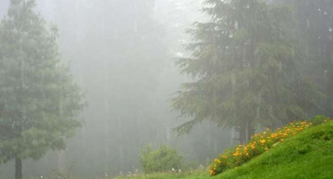 «Дожди с грозами, но очень тепло»: синоптик рассказала о погоде на этой неделе