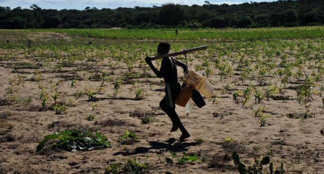 «Может начаться массовый голод»: Мадагаскар накрыла сильнейшая за 40 лет засуха